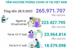 [Infographics] Tình hình tiêm vaccine phòng COVID-19 tại Việt Nam