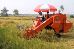 Thu hoạch lúa bằng máy gặt đập liên hợp. (Ảnh: Văn Trí/TTXVN)