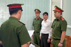 Đối tượng Hồ Đăng Chiến, nguyên Chủ tịch UBND xã Đức Trạch bị khởi tố, bắt tạm giam về tội “Giả mạo trong công tác”.(Ảnh: TXVN phát)