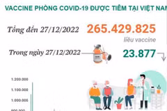 [Infographics] Tình hình tiêm vaccine phòng COVID-19 tại Việt Nam