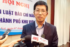 Cục trưởng Lưu Đình Phúc cho biết, việc xử lý này được thực hiện theo đúng quy định của pháp luật về báo chí. (Ảnh: T.H/Vietnam+) 