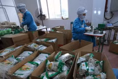 Công ty Cổ phần Minh Dương chuẩn bị hơn 150 tấn sản phẩm miến, bún khô, trị giá hơn 10,4 tỷ đồng phục vụ thị trường Tết. (Ảnh: Vũ Sinh/TTXVN)