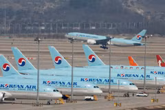 Máy bay của hãng hàng không Korean Air. (Nguồn: nikkei)