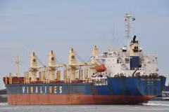 Vinalines sẽ thoái vốn 13 đơn vị thành viên trong năm 2020