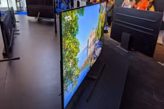 TCL trưng bày nhiều mẫu TV 8K. (Nguồn: whathifi.com)