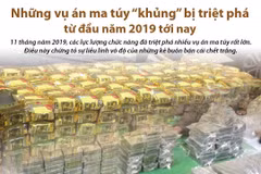 Những vụ án ma túy lớn bị triệt phá từ đầu năm tới nay.