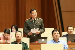 Đại biểu Quốc hội tỉnh Nghệ An Nguyễn Hữu Cầu phát biểu ý kiến. (Ảnh: Doãn Tấn/TTXVN)