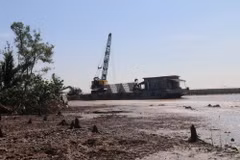 Thi công bờ kè phòng chống sạt lở khu vực Cồn Cống. (Ảnh: Minh Trí/TTXVN)
