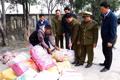 Lực lượng quản lý thị trường kiểm tra số lượng nội tạng bị bắt giữ. (Ảnh: Công Tường/TTXVN)