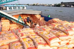 Việt Nam - Đối tác đầy tiềm năng của các quốc gia châu Phi