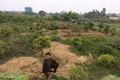 Hà Nội: Nguy cơ phá hủy di chỉ khảo cổ học Vườn Chuối ở Hoài Đức