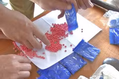 (Ảnh minh họa: Trịnh Duy Hưng/TTXVN)