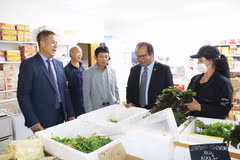 Đại sứ Thái Xuân Dũng (thứ 2, phải sang) thăm các cơ sở kinh doanh của người Việt tại Trung tâm thương mại ASIA DRAGON. (Ảnh: Hồng Kỳ/Vietnam+)