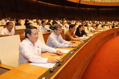 Đoàn đại biểu Quốc hội tỉnh Quảng Trị biểu quyết thông qua Luật Cảnh sát biển Việt Nam. (Ảnh: Phương Hoa/TTXVN)