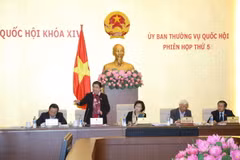 Phó Chủ tịch Quốc hội Tòng Thị Phóng phát biểu ý kiến. (Ảnh: Doãn Tấn/TTXVN)