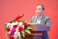 Phó Thống đốc Đoàn Thái Sơn báo cáo tham luận về công tác triển khai Luật các tổ chức tín dụng năm 2024. (Ảnh: Vietnam+)