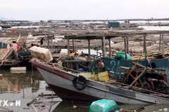 Người nộp thuế cũng được miễn tiền chậm nộp trong trường hợp bất khả kháng. (Ảnh: TTXVN)