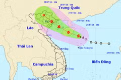 Tàu cá về bờ neo đậu tránh bão. (Ảnh: Trần Lê Lâm/TTXVN)