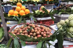 Mặt hàng mận hậu đầu mùa bắt đầu đổ bộ các chợ Hà Nội với mức giá khá cao. (Ảnh: Việt Anh/Vietnam+)