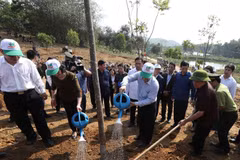 Tổng Bí thư, Chủ tịch nước Nguyễn Phú Trọng tham gia Tết trồng cây đời đời nhớ ơn Bác Hồ tại xã Việt Cường, huyện Trấn Yên. (Ảnh: Trí Dũng/TTXVN)