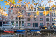 Ảnh minh họa. (Nguồn: iamsterdam.com)
