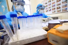 Lấy mẫu xét nghiệm SARS-CoV-2. (Ảnh: TTXVN)