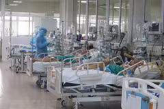 Điều trị cho các bệnh nhân mắc COVID-19. (Ảnh: TTXVN phát)