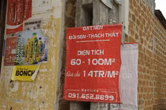 Biển bán đất được treo ở nhiều nơi tại huyện Thạch Thất, tạo ra một 'cơn sốt đất' ở địa phương này. (Ảnh: Mạnh Khánh/TTXVN)