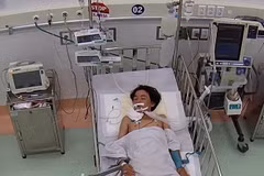 Cứu sống một bệnh nhi 13 tuổi nguy kịch do rắn cạp nia cắn