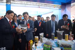Các đại biểu tham quan gian hàng tại Hội chợ. (Ảnh: Thanh Vân/TTXVN)