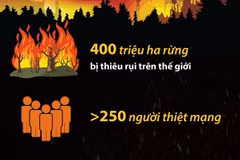 Hơn 250 người thiệt mạng do các vụ cháy rừng trong năm 2023