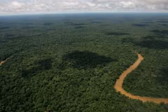 Người dân Ecuador bỏ phiếu đình chỉ khai thác dầu tại khu vực Amazon