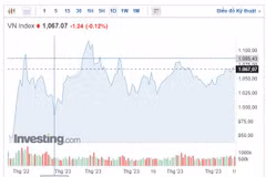 (Nguồn: Investing)