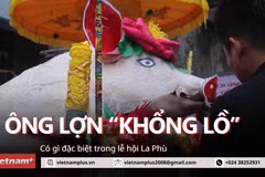 [Video] Dân làng La Phù bật mí bí quyết chăm sóc "ông lợn" khổng lồ