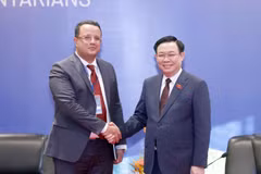 Chủ tịch Quốc hội Vương Đình Huệ tiếp Phó Chủ tịch Quốc hội Algeria Monder Bouden. (Ảnh: Doãn Tấn/TTXVN)