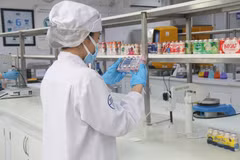Sản phẩm sữa chua uống men sống được Vinamilk phát triển cho thị trường New Zealand đáp ứng các yêu cầu về “tính xanh, bền vững”. (Nguồn: Vietnam+)