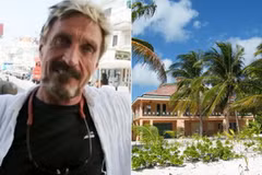 Thủ tướng Belize kêu gọi John McAfee ra "đầu thú"