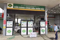 Lực lượng Quản lý thị trường tỉnh Ninh Thuận kiểm tra tình hình buôn bán xăng dầu tại cửa hàng xăng dầu Xuân Hải (xã Xuân Hải, huyện Ninh Hải). (Ảnh: TTXVN phát)