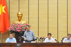 Phó Tổng Thanh tra Chính phủ Nguyễn Văn Thanh phát biểu. (Ảnh: TTXVN)