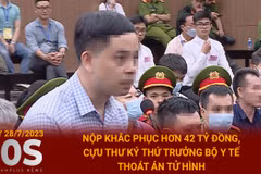 Nộp hơn 42 tỷ đồng, cựu Thư ký Thứ trưởng Bộ Y tế thoát án tử hình