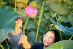 Du khách thích thú khi được trải nghiệm hái hoa sen sớm. (Ảnh: Mai Mai/Vietnam+)