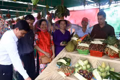 Lãnh đạo Ủy ban Nhân dân tỉnh Sóc Trăng cùng các sở, ban, ngành tham quan gian hàng trưng bày cây ăn trái tại Lễ hội sông nước miệt vườn ở Cồn Mỹ Phước, huyện Kế Sách. (Ảnh Tuấn Phi/TTXVN)