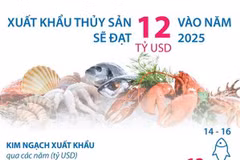 [Infographics] Xuất khẩu thủy sản sẽ đạt 12 tỷ USD vào năm 2025