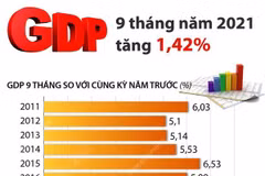 [Infographics] GDP của cả nước 9 tháng năm 2021 tăng 1,42%
