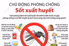 [Infographics] Chủ động phòng chống bệnh sốt xuất huyết 