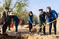 Thanh niên Quảng Trị hưởng ứng Tết trồng cây. (Ảnh: Hồ Cầu/TTXVN) 