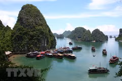 Tàu tham quan Vịnh Hạ Long. (Ảnh: Huy Hùng/TTXVN)