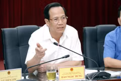 Bộ trưởng Bộ Lao động-Thương binh và Xã hội Đào Ngọc Dung phát biểu tại buổi làm việc. (Ảnh: Anh Tuấn/TTXVN)
