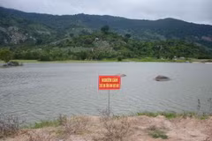 (Ảnh minh họa: Hoài Thu/TTXVN)