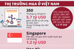[Infographics] Sôi nổi thị trường mua bán và sáp nhập tại Việt Nam